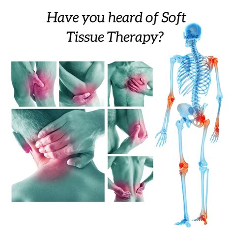 soft tissue therapist jobs|687 Soft Tissue Therapy Jobs in United States (16 new) .